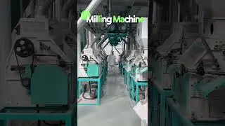 60TPD Wheat Flour Milling Plant | Compact Flour Mill Equipment from China