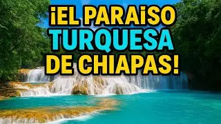 Cascadas de Agua Azul Chiapas: El Para&iacute;so Turquesa que Debes Visitar en M&eacute;xico