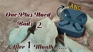 OnePlus Nord Buds 2: For the Everyday Audiophile