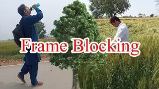 Frame blocking | Frame blocking in Kinemaster | Village life
