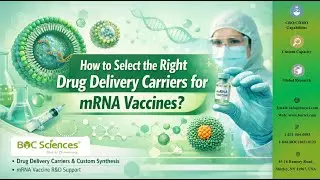 How to Select the Right Drug Delivery Carriers for mRNA Vaccines - BOC Sciences