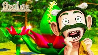 Oko Lele ⚡ The Seed - Special Episode 🌷🌱 NEW EPISODE ⭐ CGI animated short