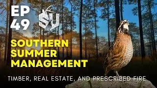 Southern Summer Management #wildlifemanagement #podcast #landmanagement