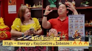 Feng Shui Forecast: Year of the Fire Horse 🔥🐎 | Fave Celebs Insights by Samson Chua 🧧✨ 