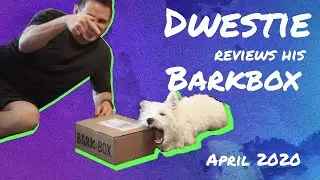 DWESTIE THE WESTIE PUPPY REVIEWS 