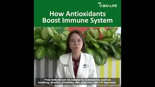 How Antioxidants Boost Immune System