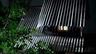 Fall Asleep Soundly to the Moaning Rain Sounds and Cold Night Ambience