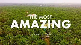 Hidden Treasures in the World's Largest Oasis | Presented by Visit Saudi