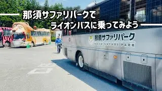 那須サファリパークでライオンバスに乗ってみた