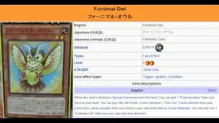 YuGiOh 101: Card Review: Furnimal Owl