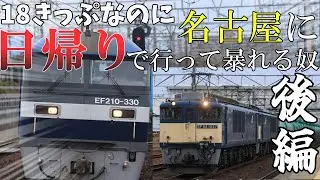 【ゆっくり鉄道旅】～18きっぷなのに日帰り旅行～　名古屋遠征：後編