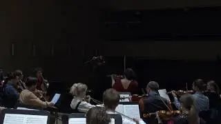 Brahms: Violin Concerto - I. Allegro non troppo