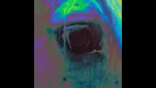 Lyster - Taiji