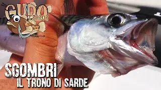 COME PESCHIAMO gli sgombri dalla barca - il Trono di Sarde - Gudoterror