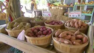 Agritourism at Long and Scott Farms