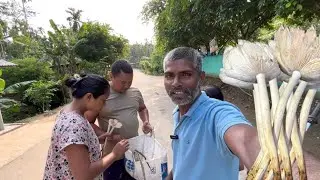 Organic Mushroom 🍄 Chun Ke Leke Aake Gaon Ka Dukaan Per Bikri Kiya | village life