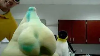 Fred's Experiment