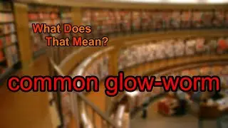 What does common glow-worm mean?