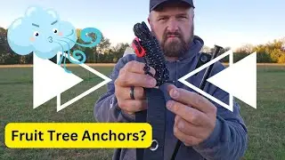 Anchor da fruit trees, eh? #garden #homestead #fruittrees #protection #wind #fall