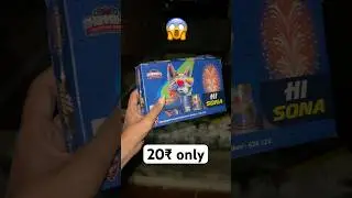 Cheapest Crackling Unique Pomegranate worth ₹20 🤯😱#shorts #testing #fireworks #trending