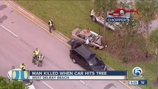 Person dies after car hits tree in southern Palm Beach County