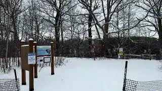 Frozen Waterfall Hike | This doesn&rsquo;t feel real?#canadaontheroad #travel #toronto #shorts