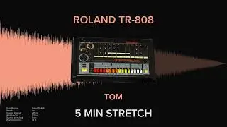 Roland TR-808 Tom (5 MINUTES)