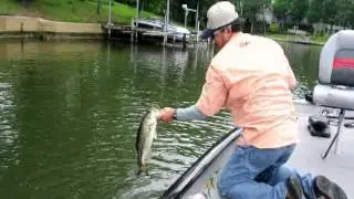 Bass Fishing Slider Worm & Grub Tennessee River