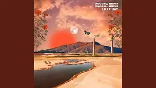 Sunset Oasis