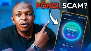 The Sad Truth About CATLY COIN: Here is What I Discovered 😲😲😲