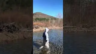 Redd Survey - Esopus Creek - 2024
