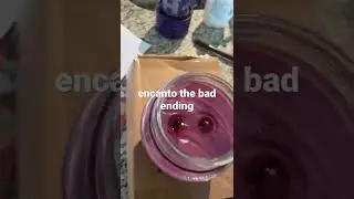 encanto the bad ending