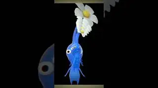 GermanDictator