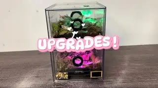 Upgrades! Mini Isopod Terrariums 