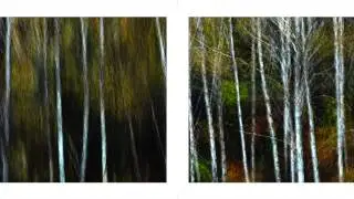Blow the wind southernly II 01  VACKSBOOK  2015.