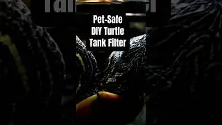 The Ultimate Guide to Turtle Tank Filters: Keeping Your Aquatic Pets Happy and Healthy