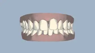 Ringwood Dental