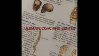Body Movement #skeleton  #system  #hoshiarpur #center #coaching #ultimate #notes #biology