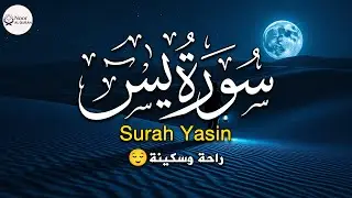 سورة يس كاملة لتحصين المنزل بصوت هادئ جدا للقارئ محمد هشام ( بدون اعلانات )