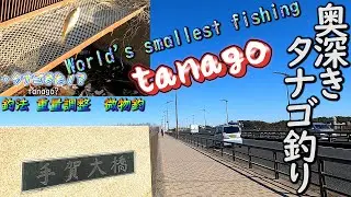 【タナゴ釣り】世界最小の釣りが日本のタナゴ釣りらしいよ　釣りして手賀沼スポットも紹介しちゃうやつ