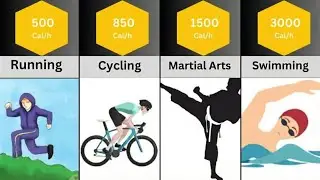 How Many Calories Does Each Exercise Burn?💪