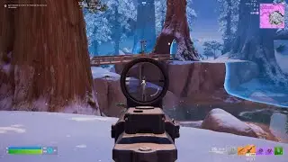 Fortnite/Raiz