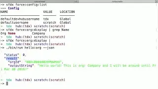 Create and Use Salesforce CLI Plugins