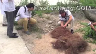 Master Jiang -- With Contact Pyrokinesis Demo -- August 2013