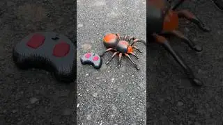 Baap re Oto Boro Remote Control Spider Testing 🔥😲