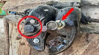 COW FOOT CUTTING - Cutting, trimming, cleaning and removing metal from cow's hooves ##nail#25