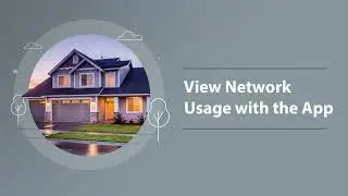 How to View Network Usage with the OMNI IQ App - OMNI Support - DirectLink