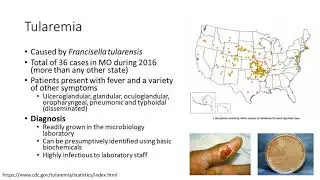 Early Tick-Borne Disease Diagnosis with Molecular Testing: Knowing What's at Stake