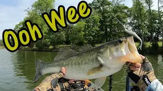 Bass Fishing Bear Creek Reservoir
