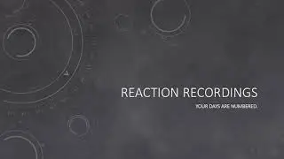 Days are numbered - Reaction original by the BADMANSFINGERS (The Levick Mix).